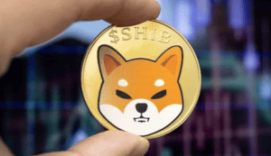 shibo inu-cryptotrends360